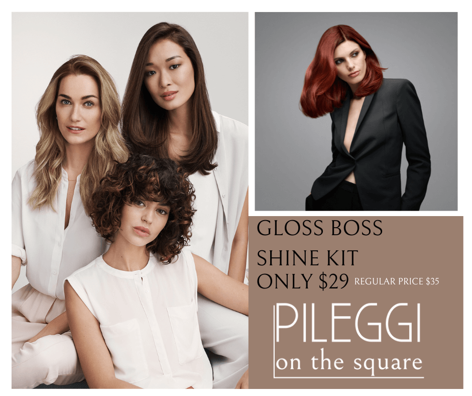 GLOSS BOSS HAIR SHINE KIT