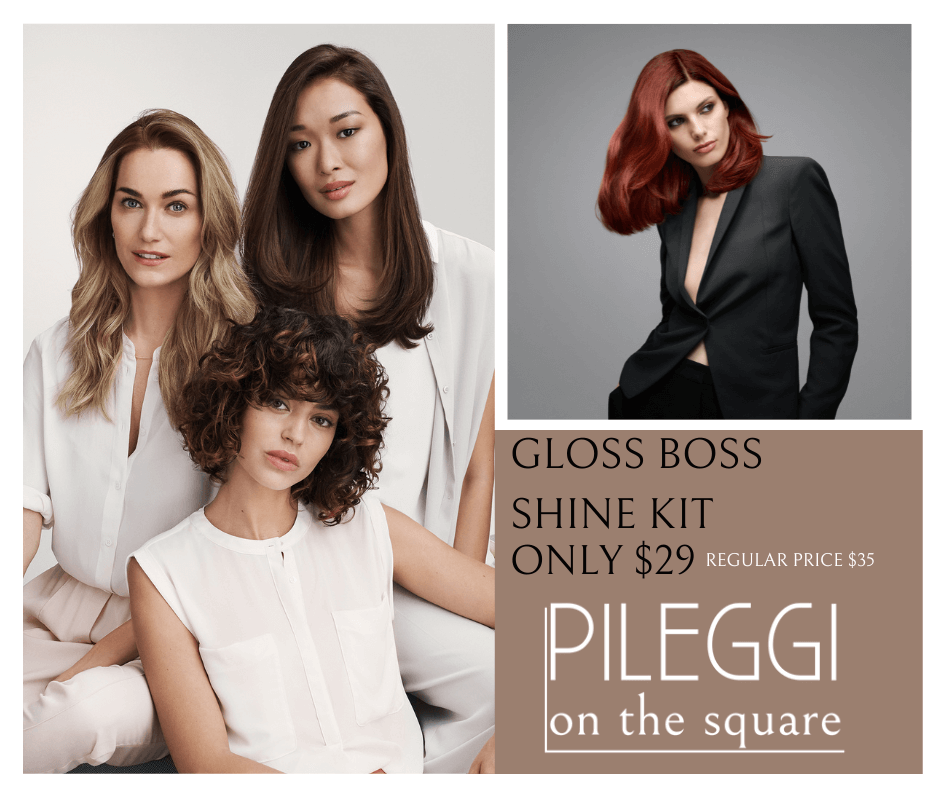 Description of Pileggi Color Lab Gloss Boss Hair Shine Kit