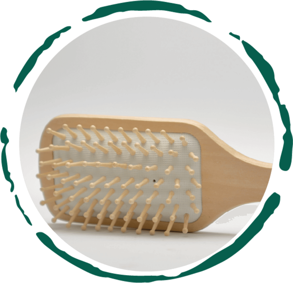 Wooden Detangling Hair Brush